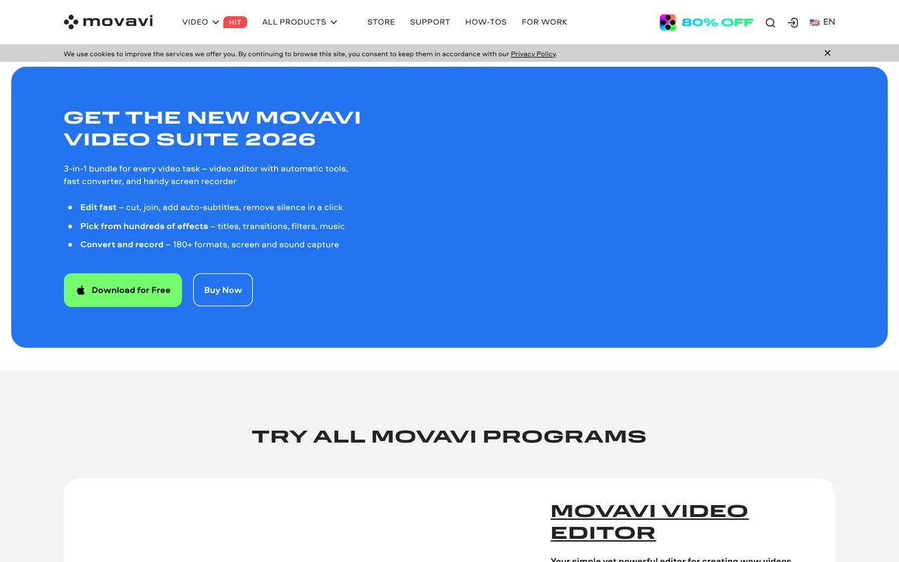 Movavi Video Editor preview