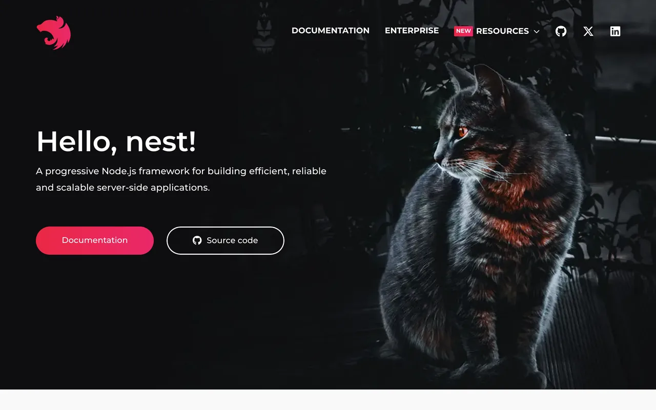 NestJS preview